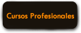 profesional