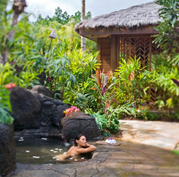 Imágen de un balneario decorado tropical